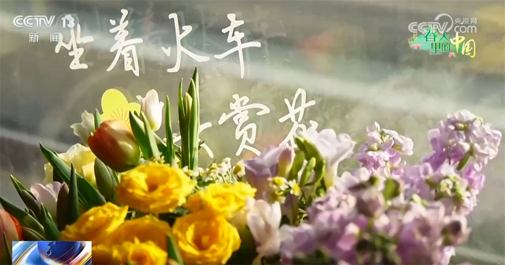 画卷 “赏花经济”既有“颜值”又有“产值”AG真人百家乐春天里的中国生机勃勃绘就锦绣(图2)