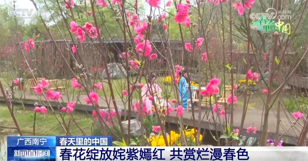画卷 “赏花经济”既有“颜值”又有“产值”AG真人百家乐春天里的中国生机勃勃绘就锦绣(图3)